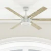 Honeywell Kaliza Ceiling Fan, Bright White, 56-Inch - 51477