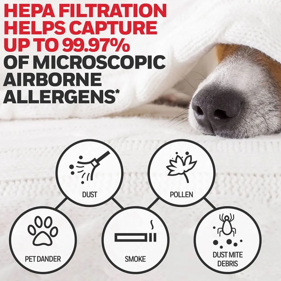 Honeywell Replacement Filter G True HEPA Air Purifier Filters - 2 Pack, HRF-G2